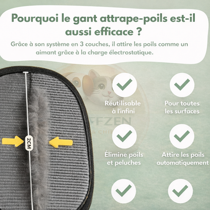 FurFree™ Gant Anti-Poils