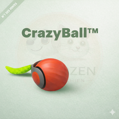 CrazyBall™  - Balle magique et Interactive