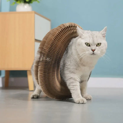 CatFun™ Griffoir pliable magique