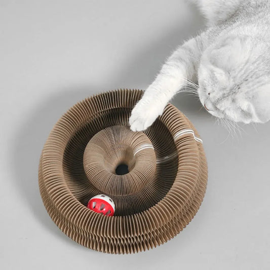 CatFun™ Griffoir pliable magique