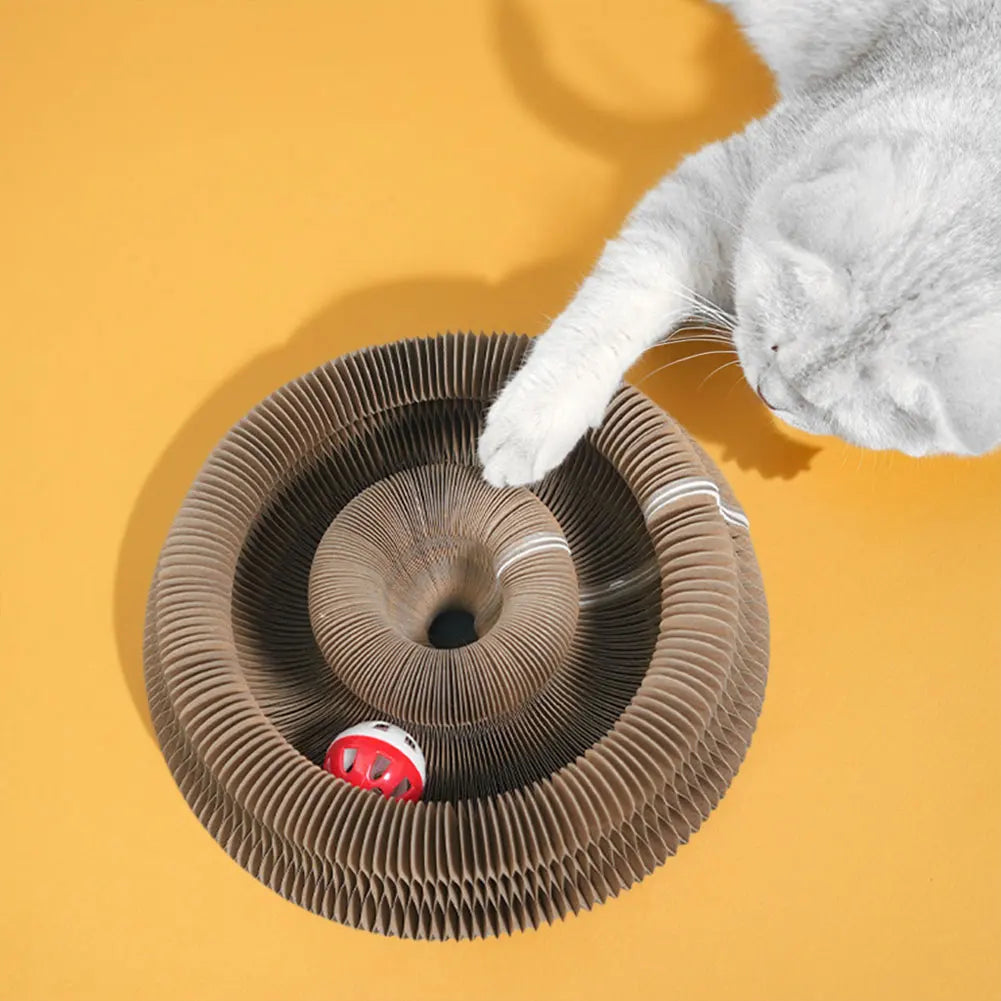 CatFun™ Griffoir pliable magique
